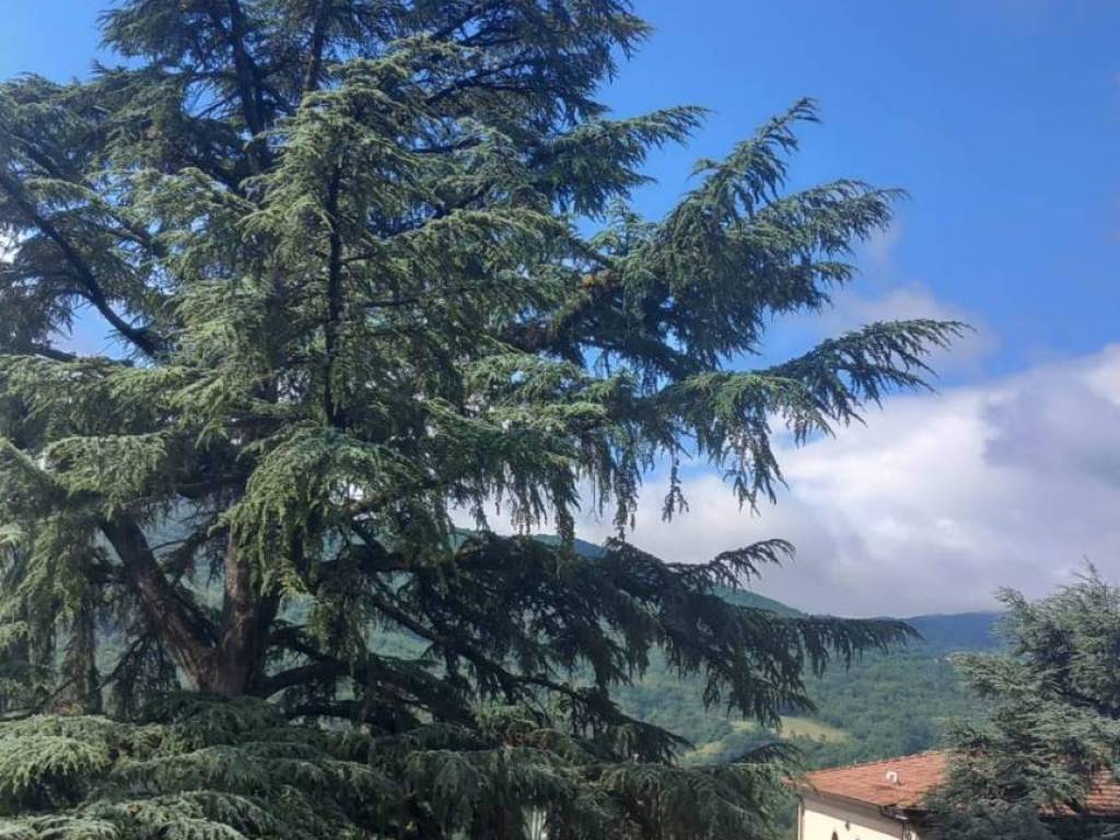 Appartamento a Bibbiena in via Bernardo Dovizi, 1 - Foto 2