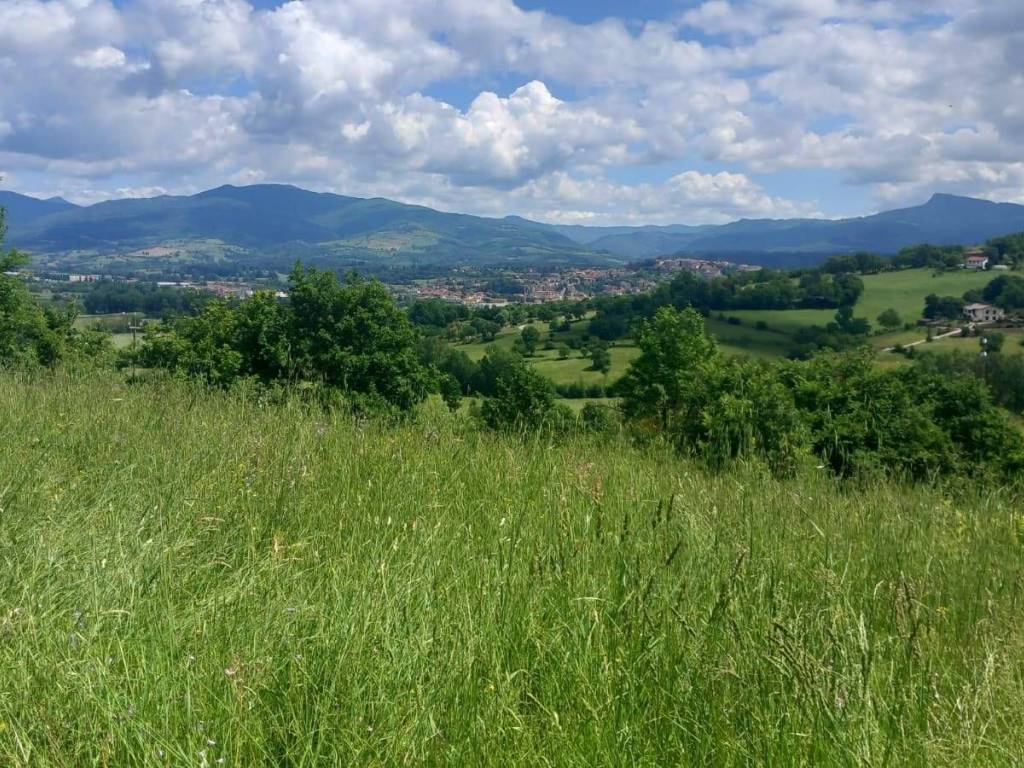 Terreno a Poppi in località Riosecco - Foto 3