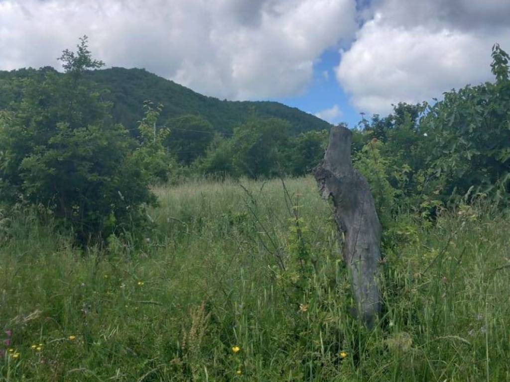 Terreno a Poppi in località Riosecco - Foto 4
