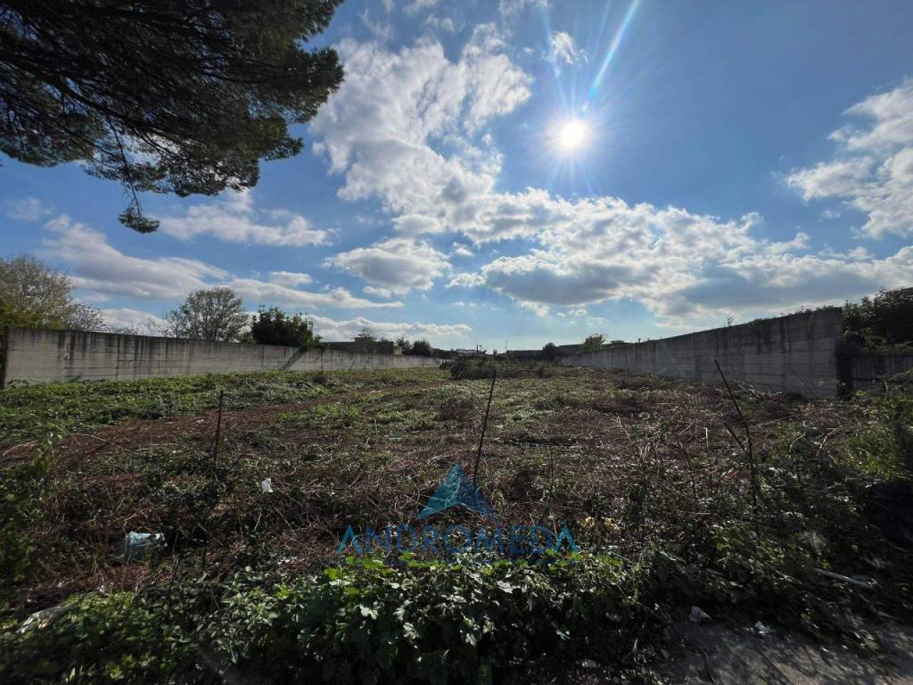 Terreno a Casoria - Foto 3