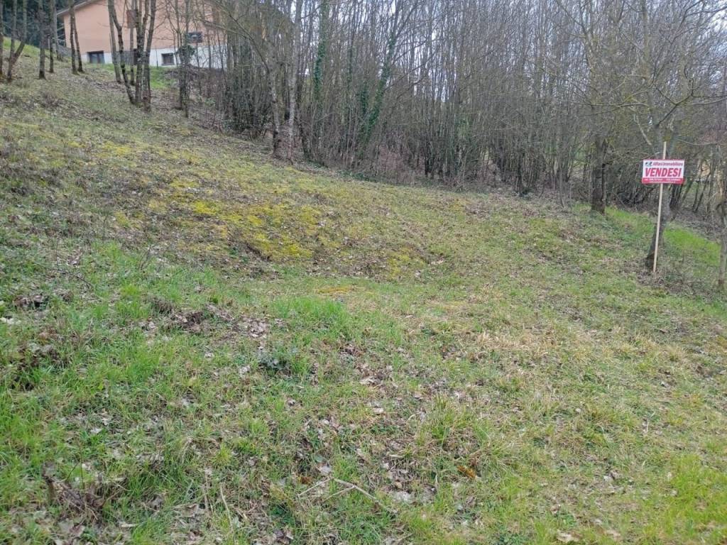 Terreno a Chitignano in Località Campo dell'Alpe - Foto 2