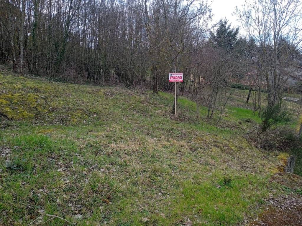 Terreno a Chitignano in Località Campo dell'Alpe - Foto 4