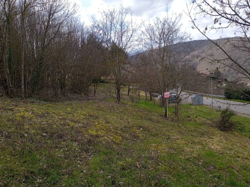 Terreno a Chitignano in Località Campo dell'Alpe - Foto 5