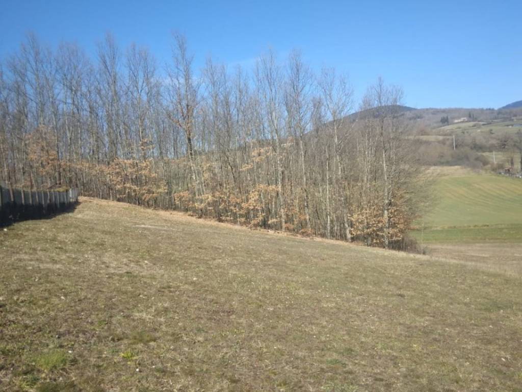 Terreno a Bibbiena in VIA GUAZZI - Foto 2