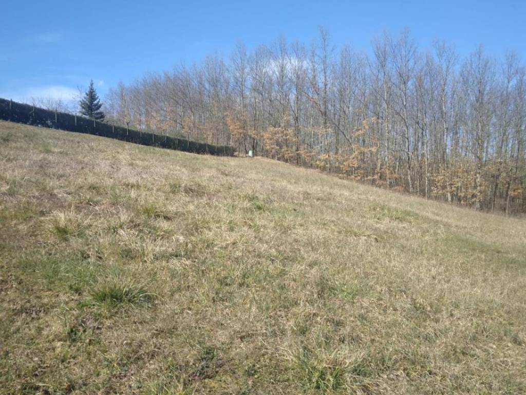 Terreno a Bibbiena in VIA GUAZZI - Foto 5