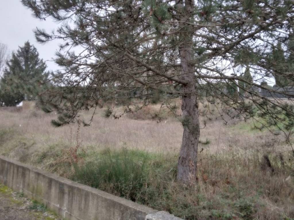 Terreno a Bibbiena in via Sandro Pertini - Foto 5