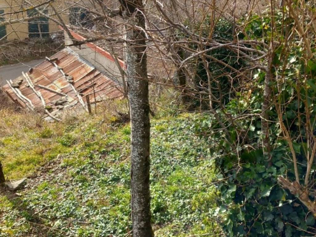 Casa indipendente a Poppi in via la casina, 25 - Foto 4