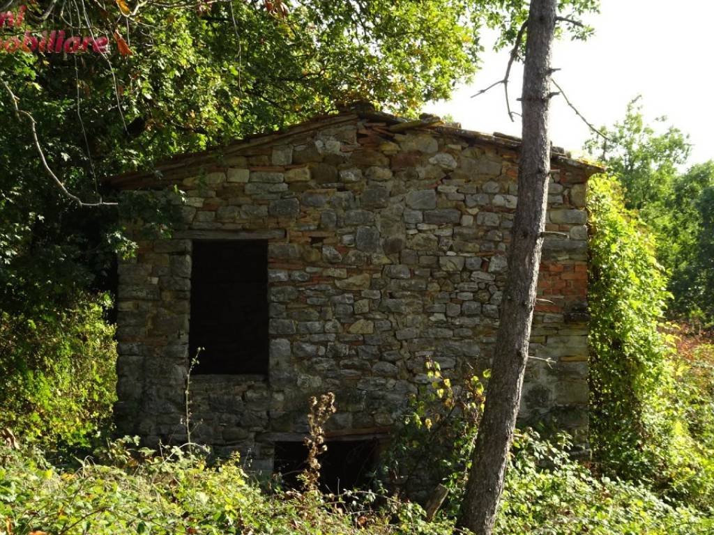 Villa a Poppi in Podere IL CASONE - Foto 4
