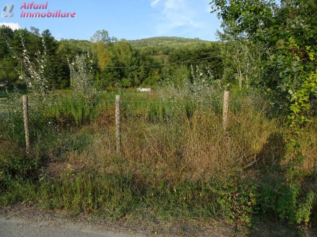 Terreno a Bibbiena in LOC. MARCIANO - Foto 2