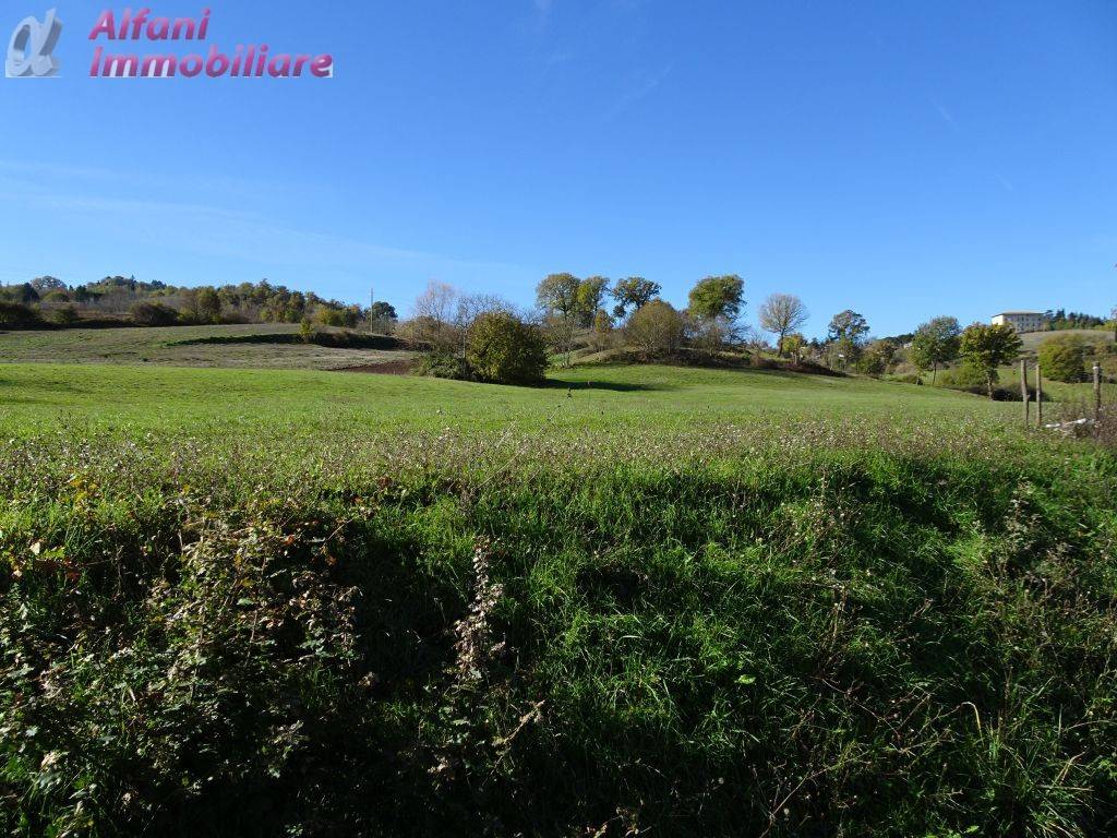 Rustico / casale a Poppi in Buiano - Foto 4