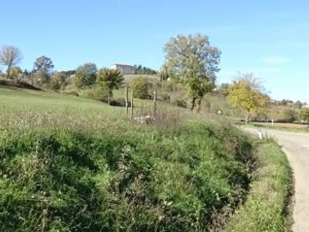 Rustico / casale a Poppi in Buiano - Foto 5
