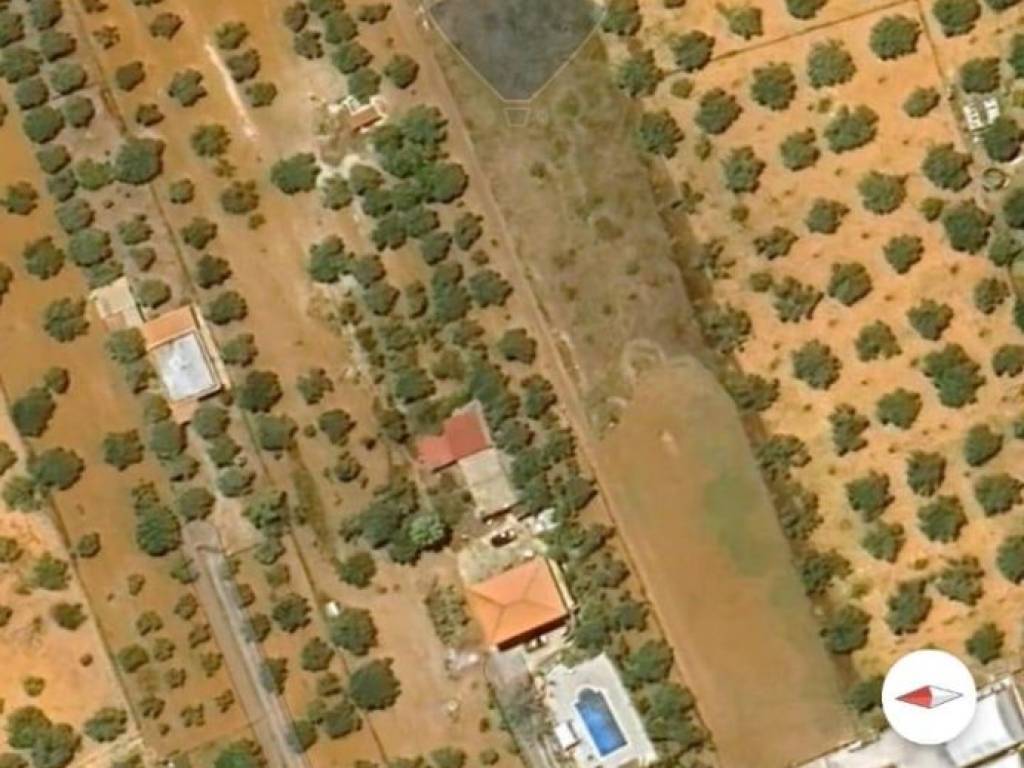 Terreno a Niscemi in Contrada Pilacane - Foto 5