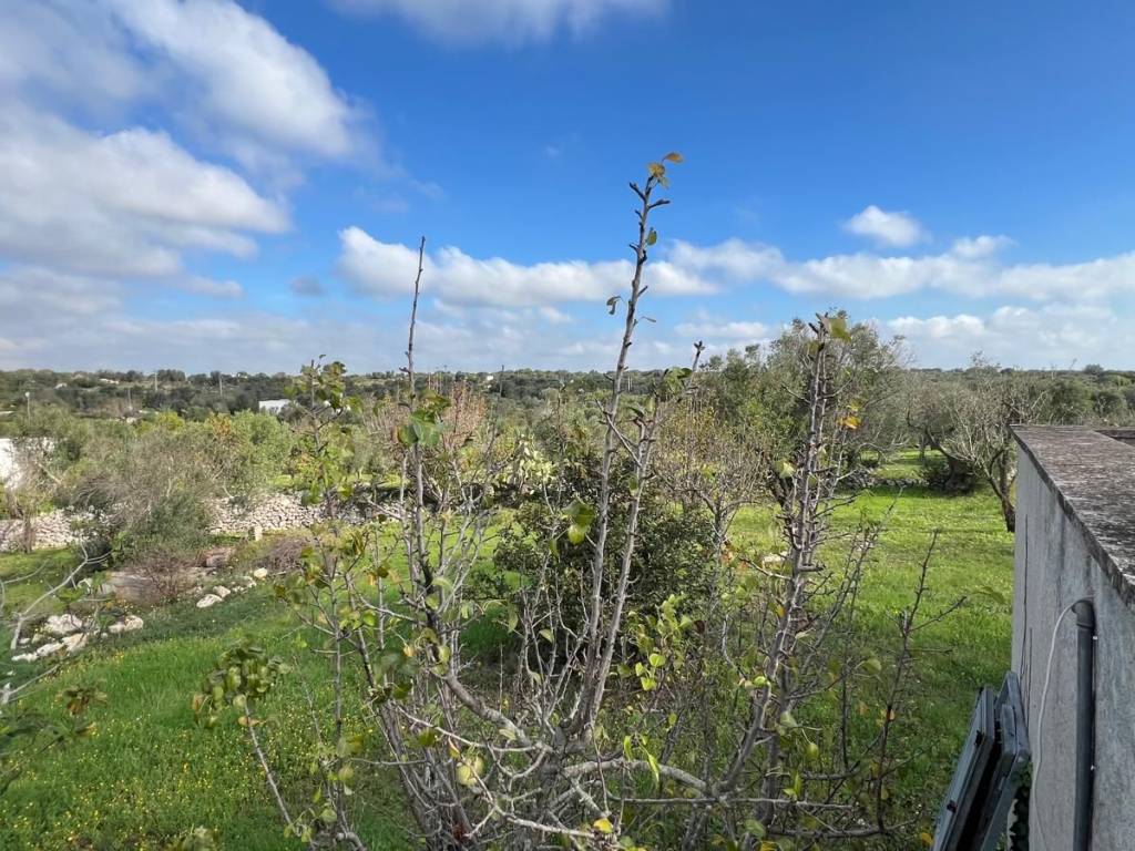 Rustico / casale a Ostuni in Contrada Platone - Foto 4