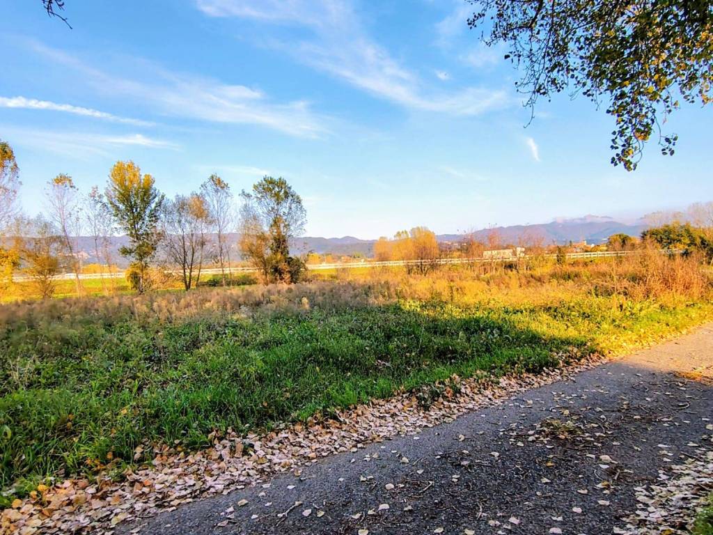 Terreno a Sarzana in Via Boettola Traversa Prima - Foto 2