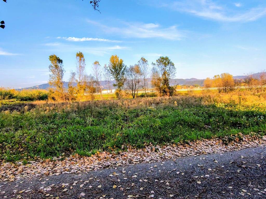 Terreno a Sarzana in Via Boettola Traversa Prima - Foto 4