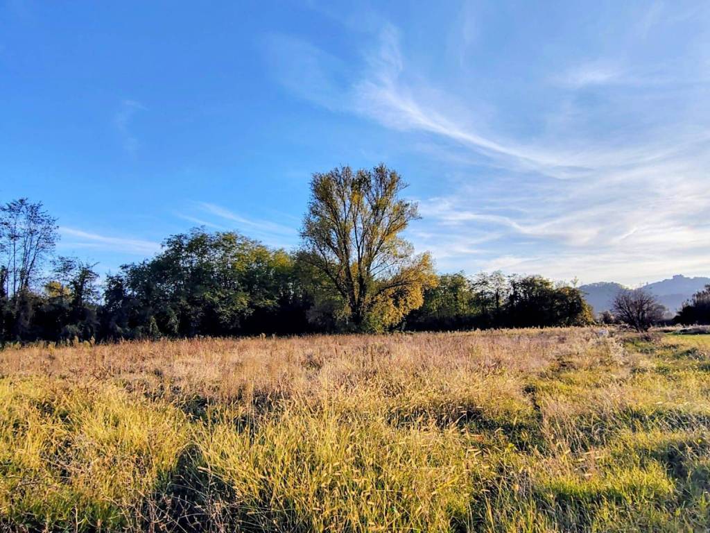Terreno a Sarzana in Via Boettola Traversa Prima - Foto 5