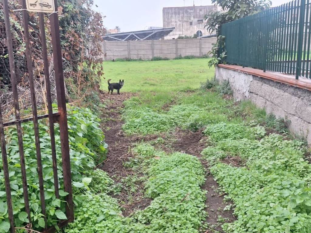 Terreno a Torre annunziata in Via Ercole Ercoli - Foto 2