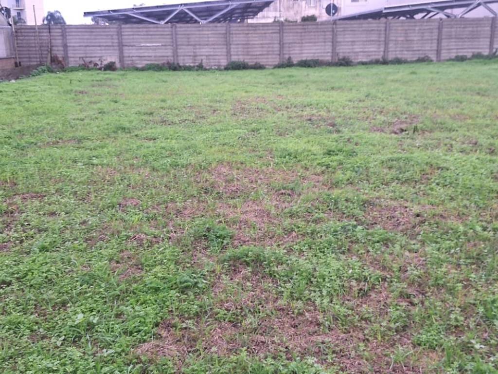 Terreno a Torre annunziata in Via Ercole Ercoli - Foto 3