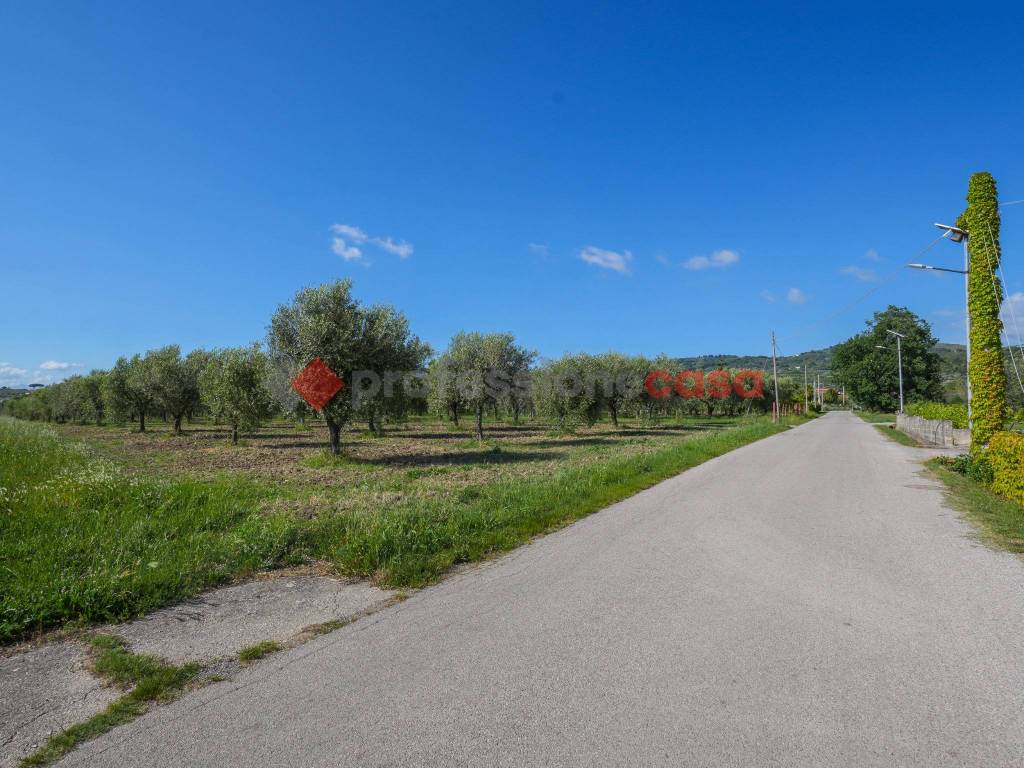 Terreno a Altavilla silentina in Contrada San Pietro - Foto 3