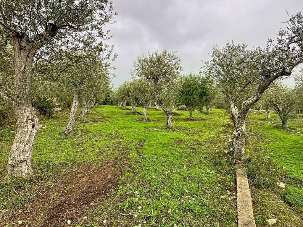 Terreno a Sennori in Strada Vicinale Taniga Baldella - Foto 2