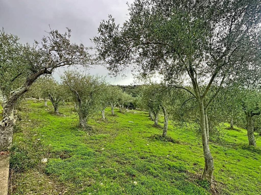 Terreno a Sennori in Strada Vicinale Taniga Baldella - Foto 3