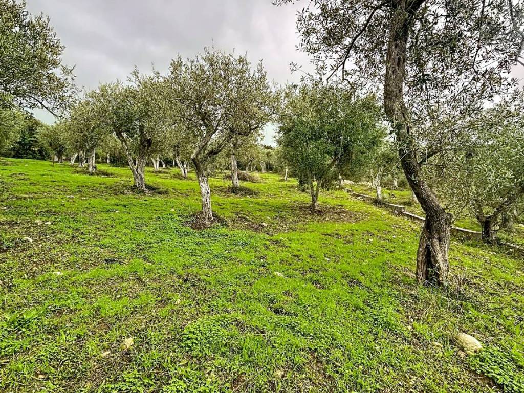 Terreno a Sennori in Strada Vicinale Taniga Baldella - Foto 4