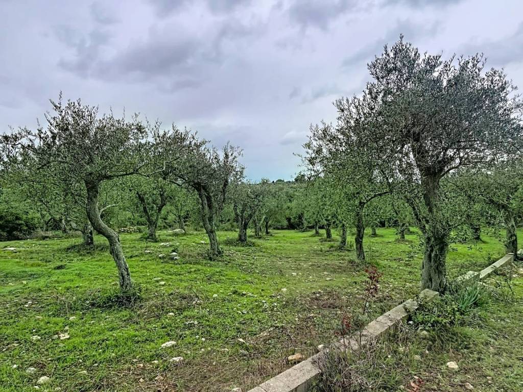 Terreno a Sennori in Strada Vicinale Taniga Baldella - Foto 5