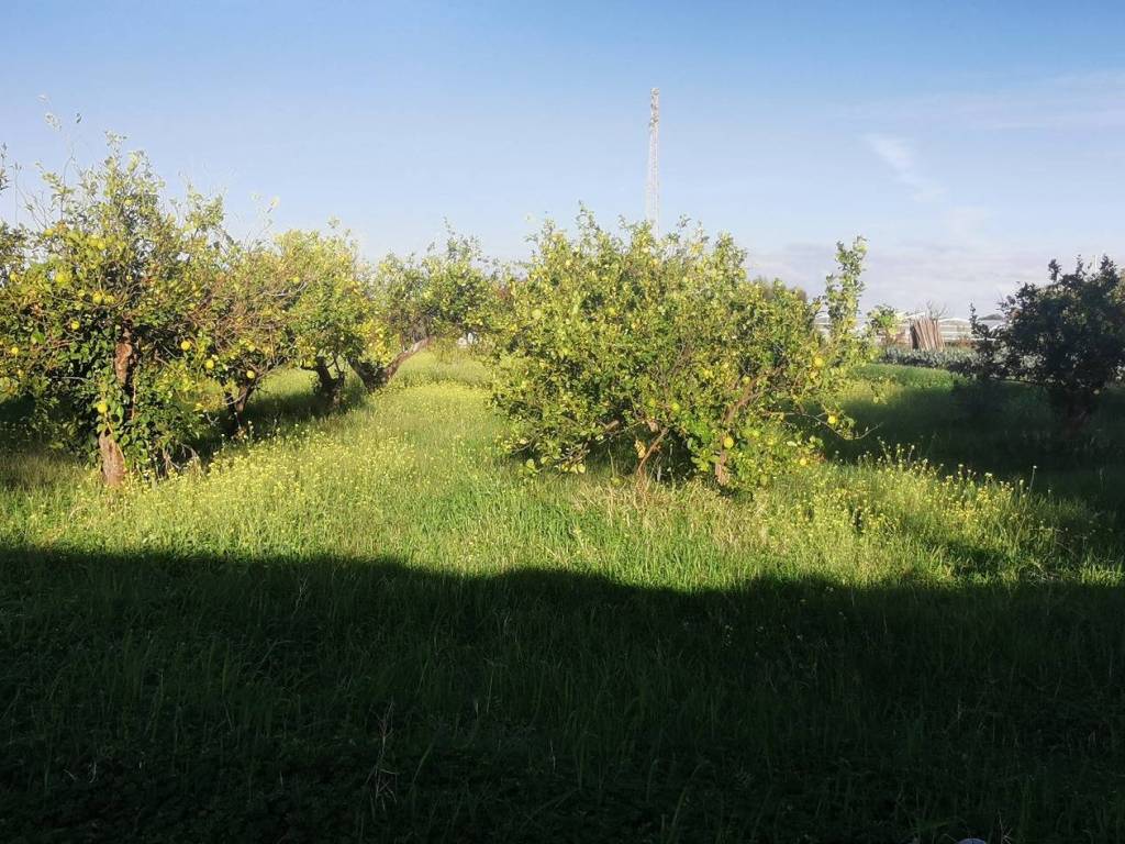 Terreno a Milazzo in Via Botteghelle, 93 - Foto 4