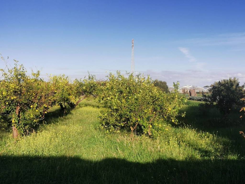 Terreno a Milazzo in Via Botteghelle, 93 - Foto 5