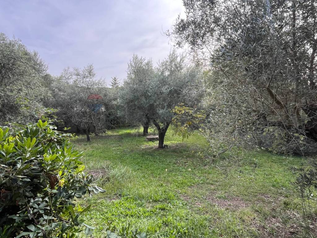 Villa a Ariccia in Via Delle Grotte, 31 - Foto 2