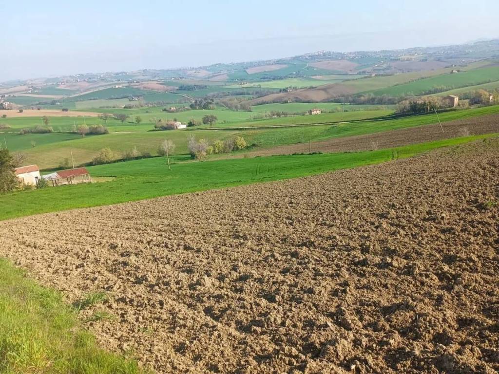 Terreno a Appignano in Contrada Renacci - Foto 2