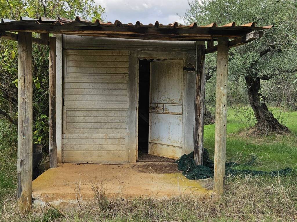 Terreno a Sermoneta in località Pelliccio Mezzagne - Foto 3