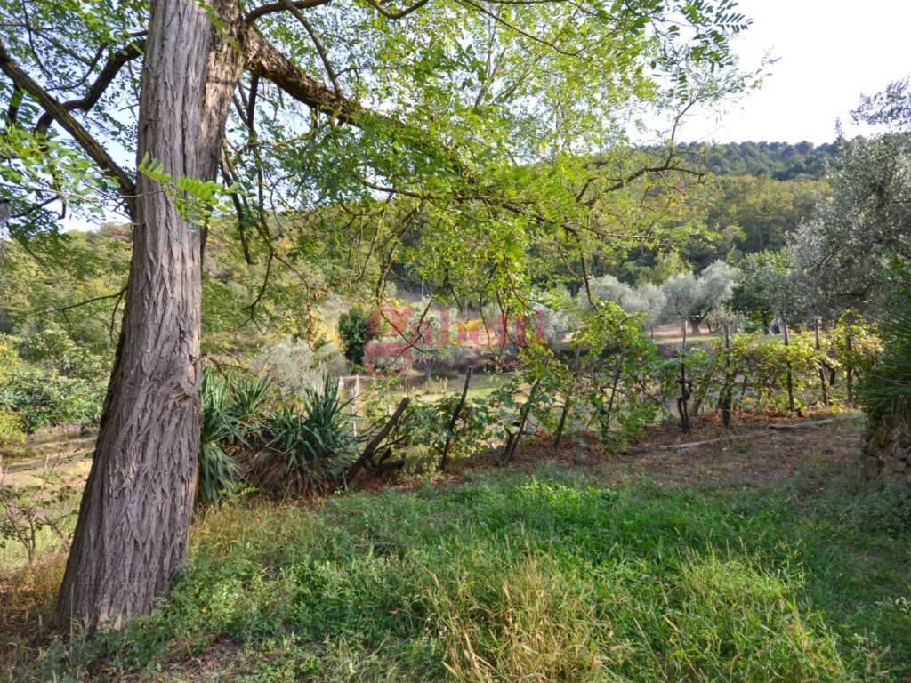 Rustico / casale a Bagno a ripoli in Via di Montisoni - Foto 5