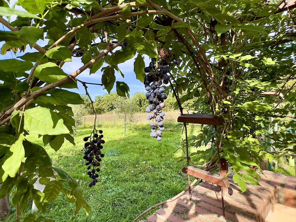 Villa a Città della pieve in Vocabolo Valdilucciole - Foto 5