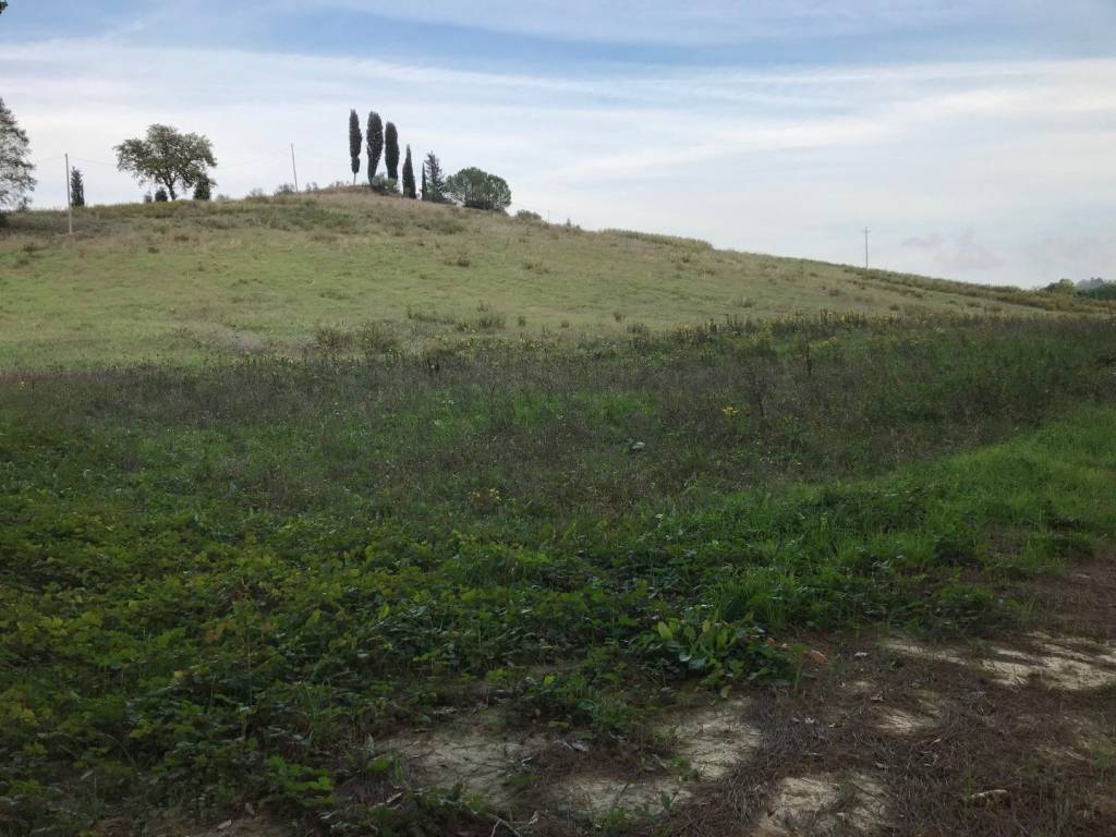 Casa indipendente a San miniato in Via Calenzano, - Foto 4