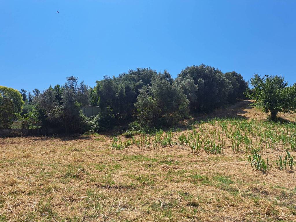 Terreno a Monterotondo in Via San Matteo - Foto 2