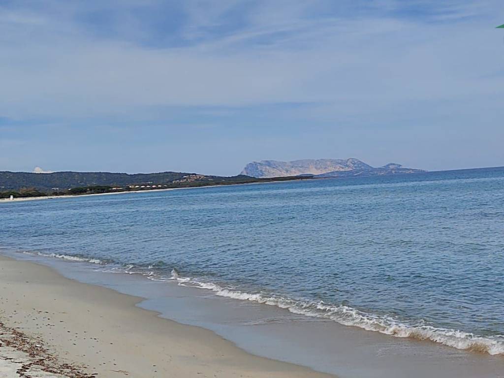 Attico / mansarda a Budoni in Via Nazionale, 332 - Foto 3