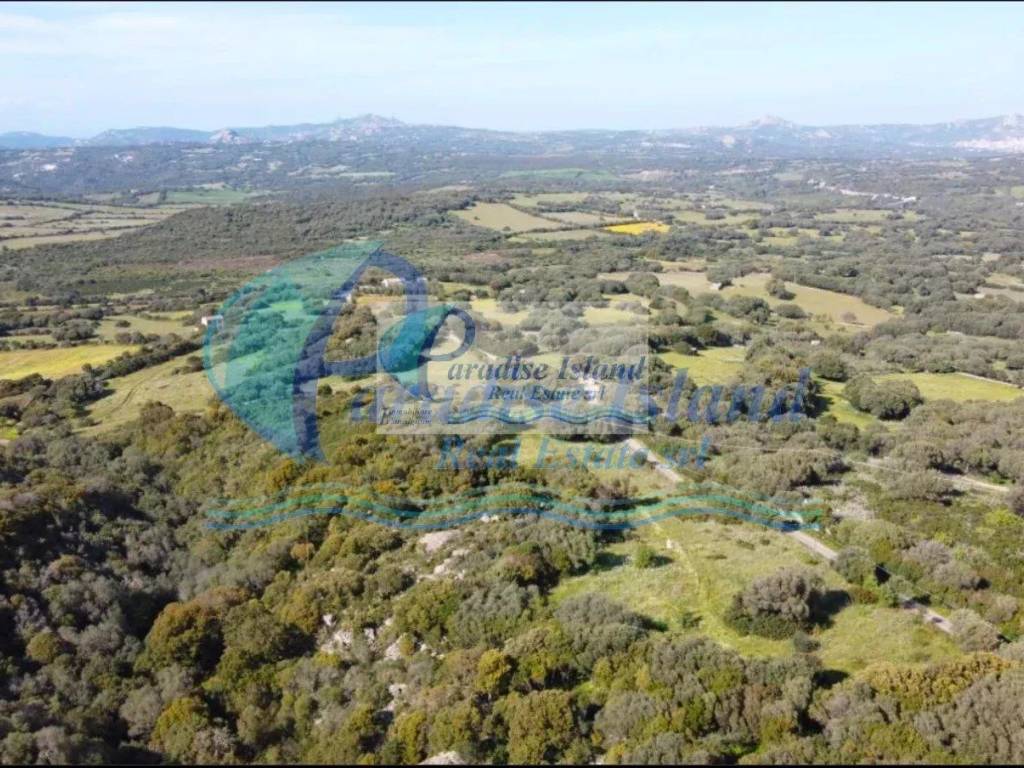 Terreno a Arzachena - Foto 2