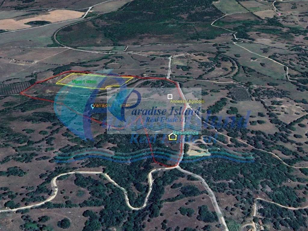 Terreno a Arzachena - Foto 5