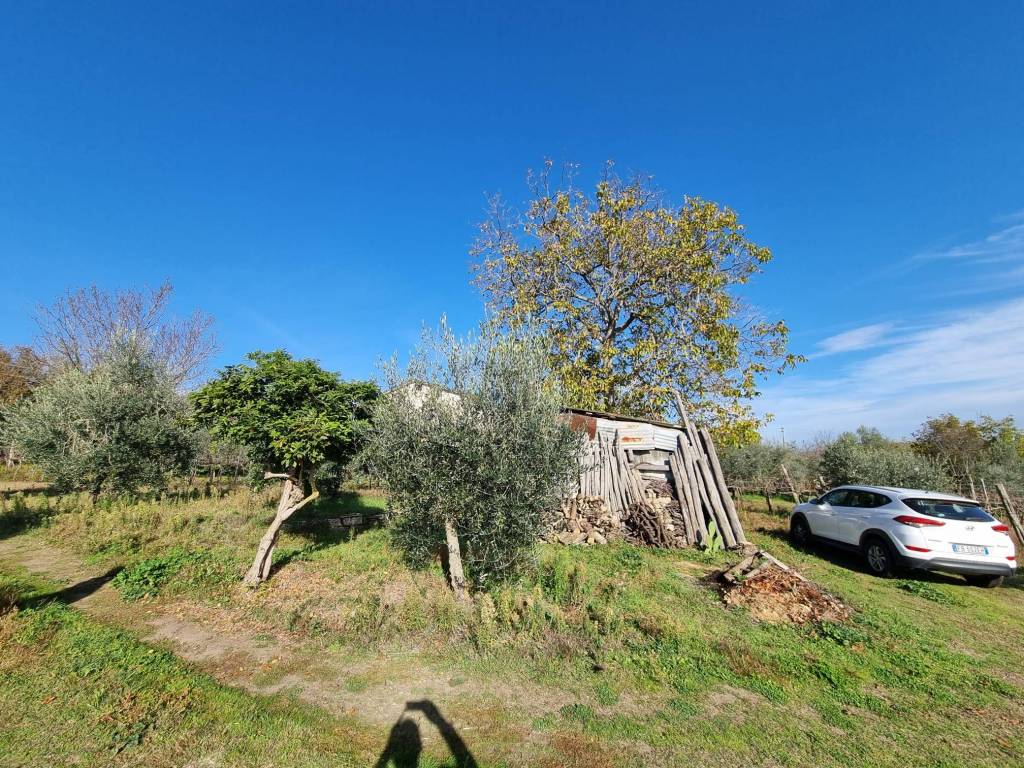 Terreno a Taurasi in Contrada San Pietro - Foto 2