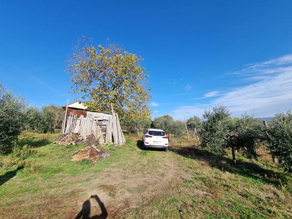 Terreno a Taurasi in Contrada San Pietro - Foto 3