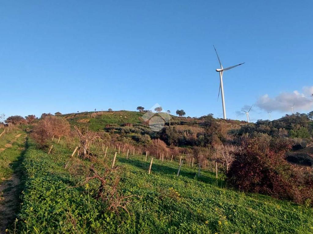 Terreno a Alcamo in CONTRADA QUESAL - Foto 2
