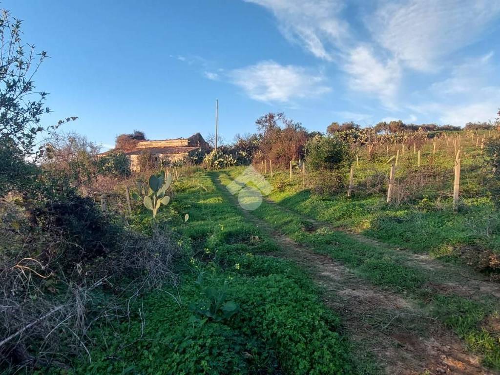 Terreno a Alcamo in CONTRADA QUESAL - Foto 3