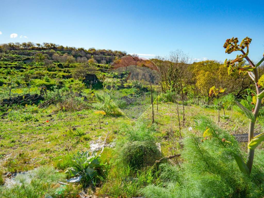 Terreno a Belpasso in strada provinciale 56i - Foto 2