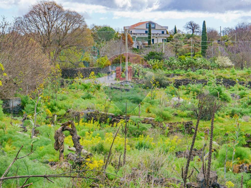 Terreno a Belpasso in strada provinciale 56i - Foto 3