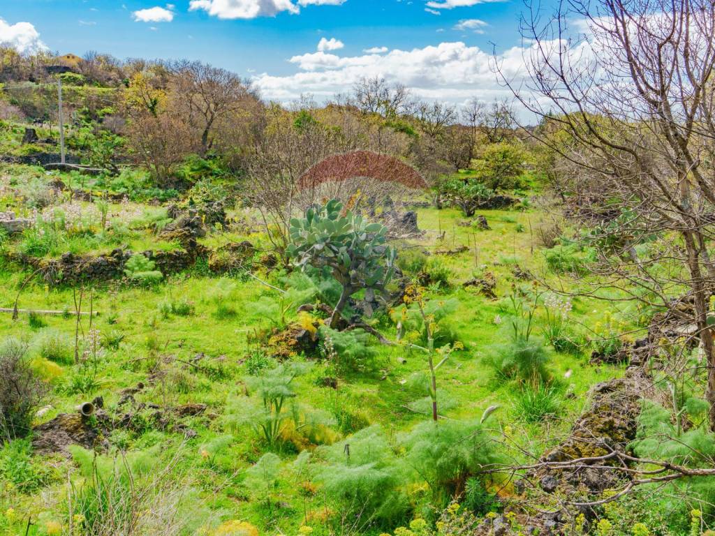 Terreno a Belpasso in strada provinciale 56i - Foto 4