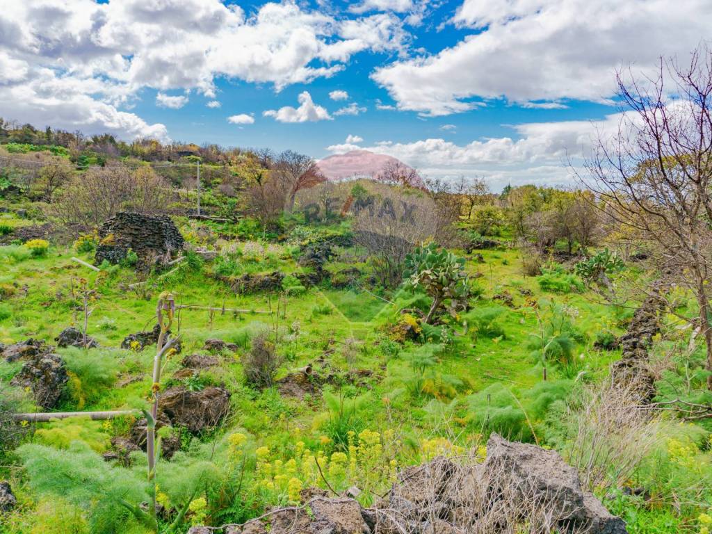 Terreno a Belpasso in strada provinciale 56i - Foto 5