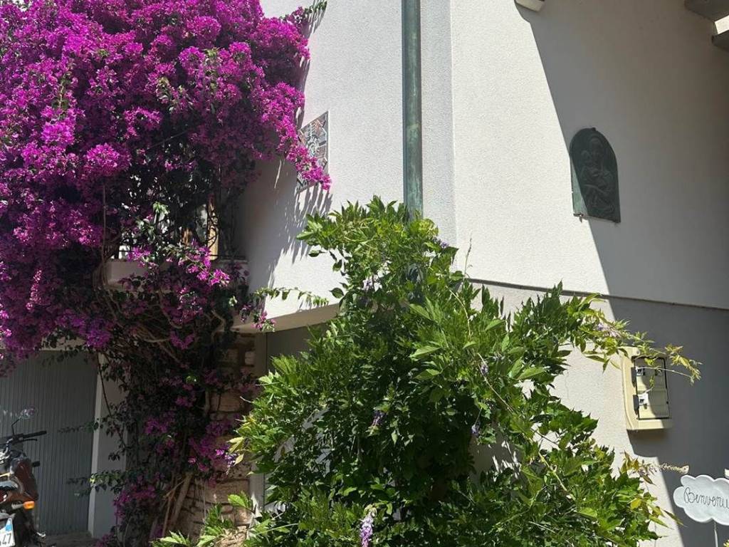 Appartamento a Piombino - Foto 2