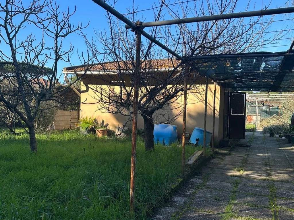 Appartamento a Piombino - Foto 5