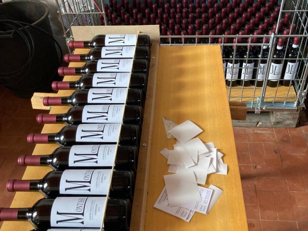 Terreno a Roasio in Via Roma - Foto 5